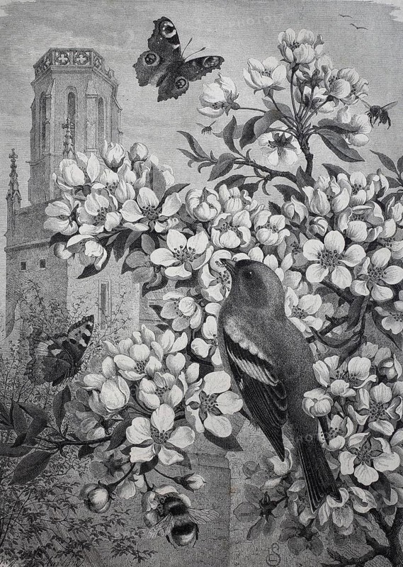 Symbolic picture for spring