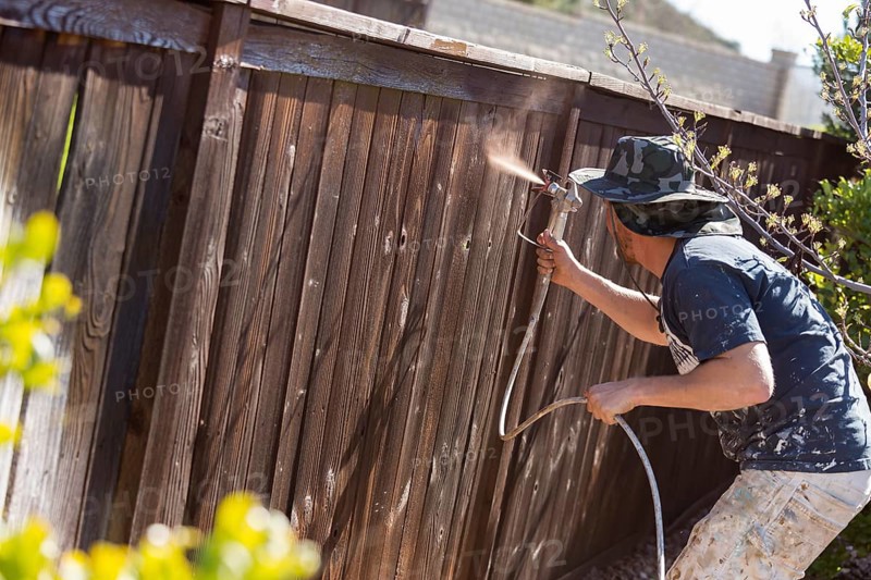 Professional painter spraying house yard fence with wood stain