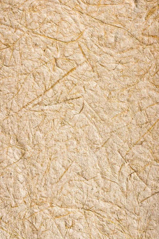 Handmade rice paper from Thailand texture