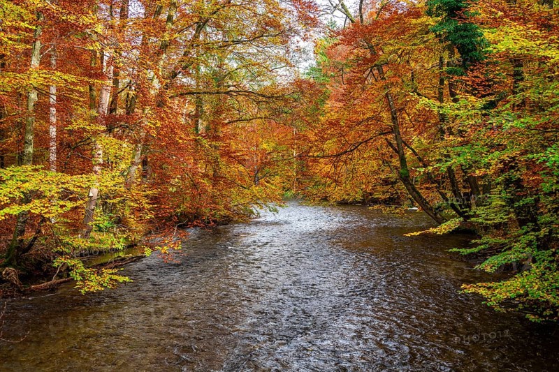 River Wuerm