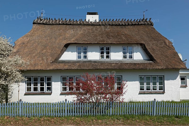 Thatched roof house