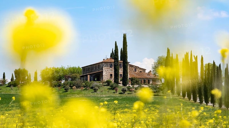 Poggio Covili estate