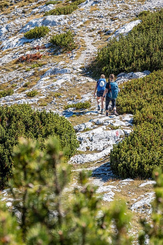 Hikers on a hiking trail