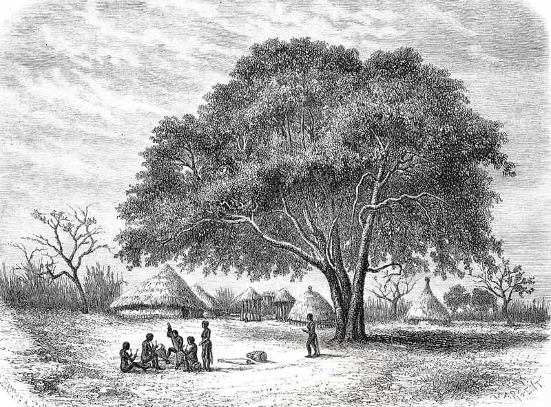 Indigenous people
