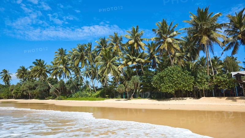 Tropical paradise idyllic beach Sri Lanka