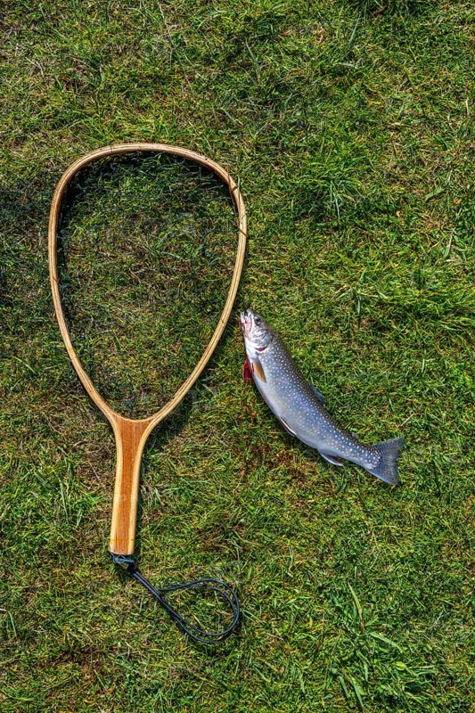 Caught trout and landing net lies on lawn