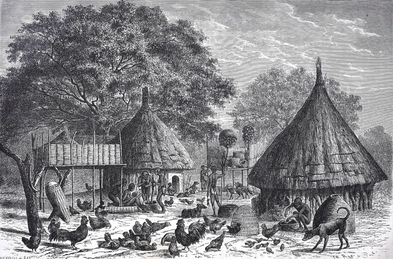 Village of the Diour tribe in present-day Chad