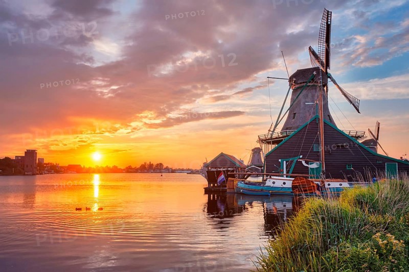 Netherlands rural scene