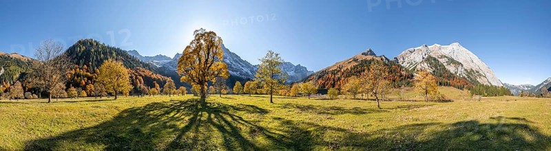 Panorama
