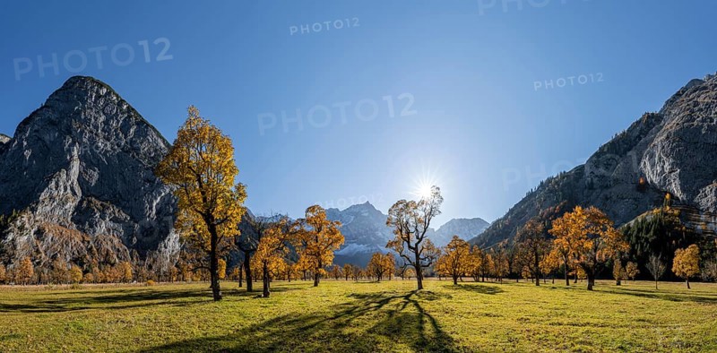 Panorama