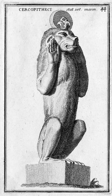 Eine Marmorstatue eines Affen aus dem Museum des Kapitol