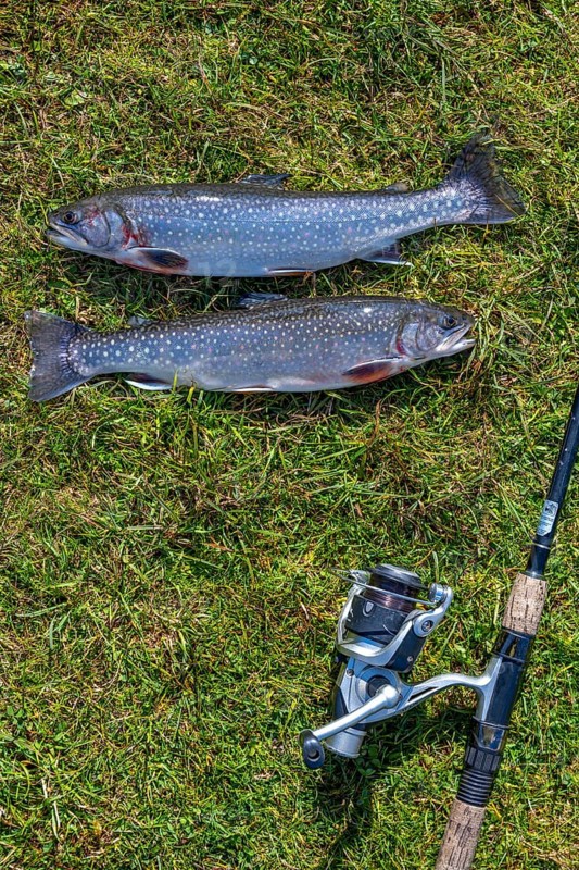 Fishing