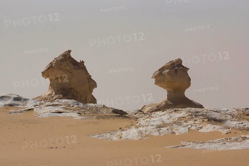 White desert