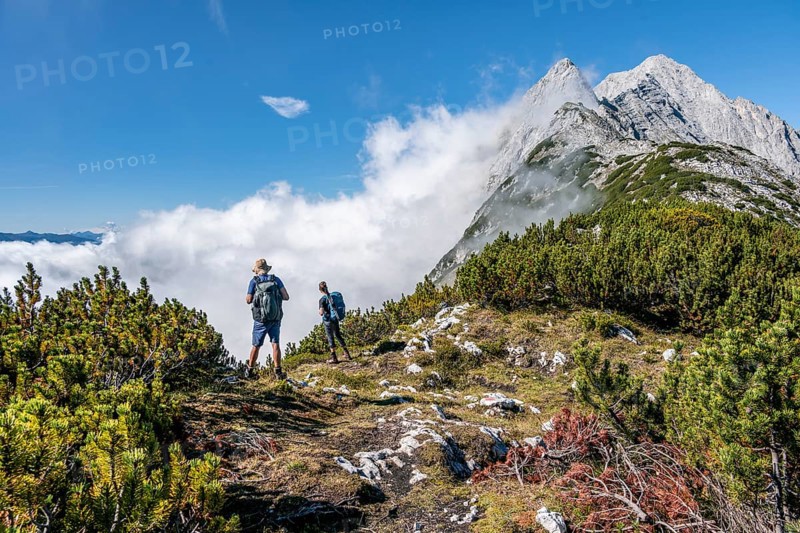 Two hikers on the ridge of the Mieminger Kette between mountain pines