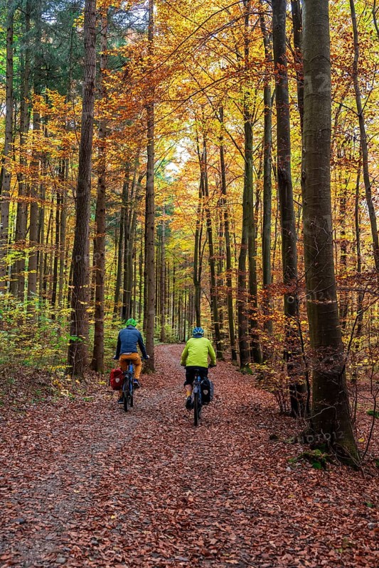 Two cyclists on path through autumnal forest