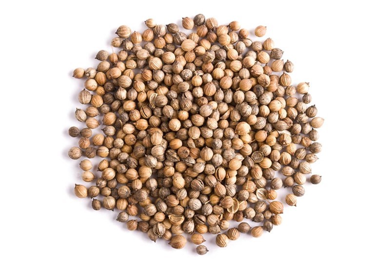 Pile of coriander close up on white background