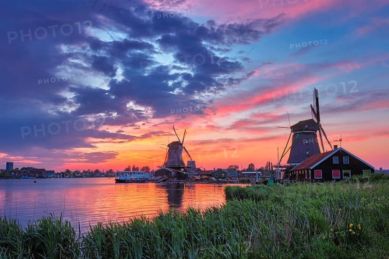 Netherlands rural scene