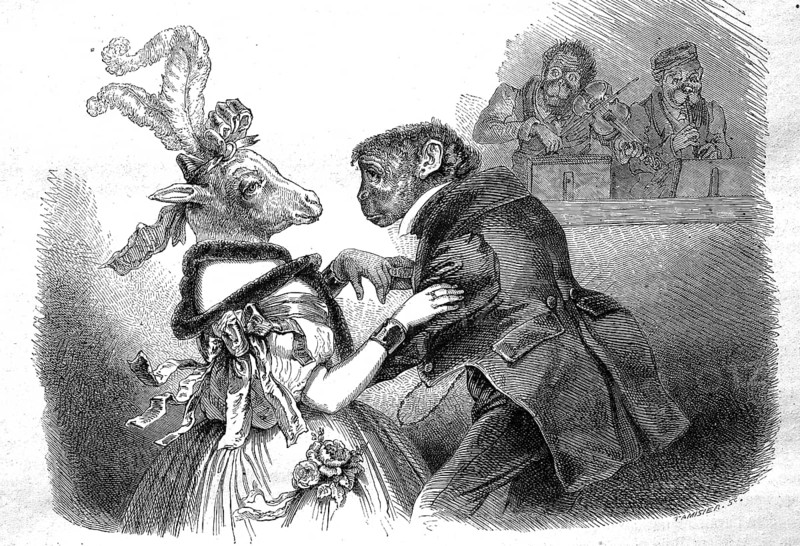 The Ball of the Animals