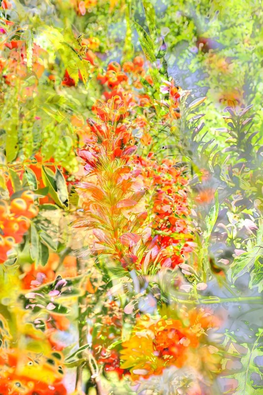 Flowers creative