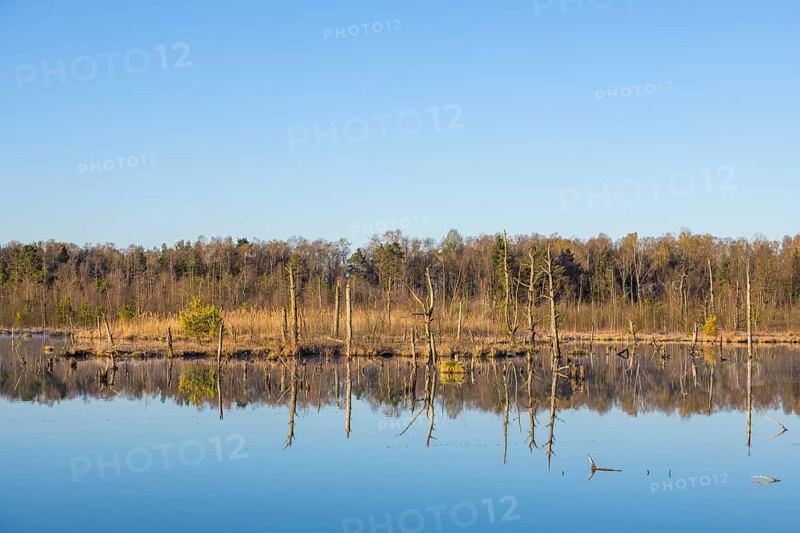 View over the Schwenninger moss