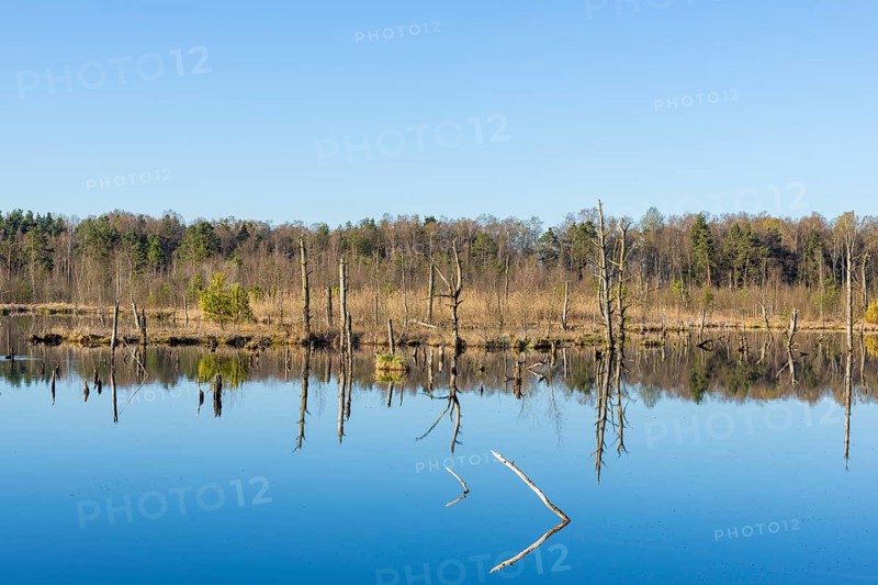 View over the Schwenninger moss