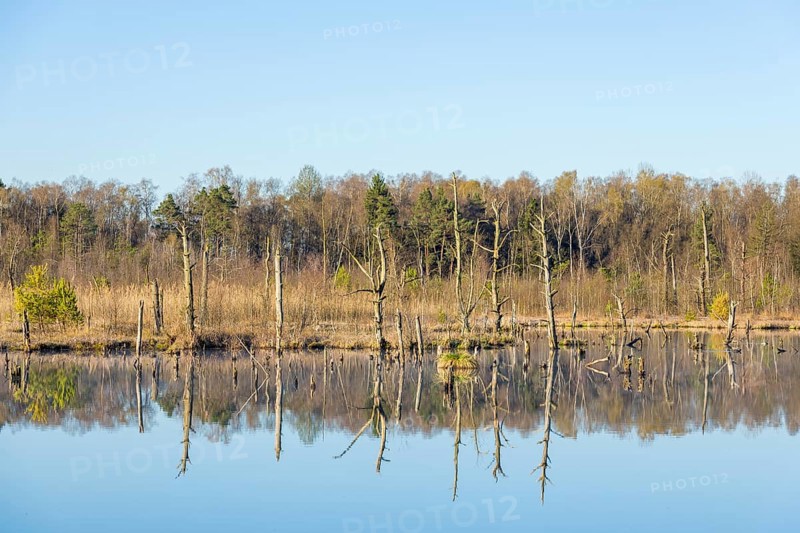 View over the Schwenninger moss