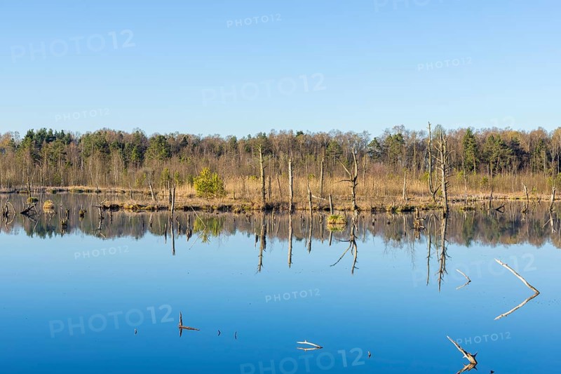 View over the Schwenninger moss