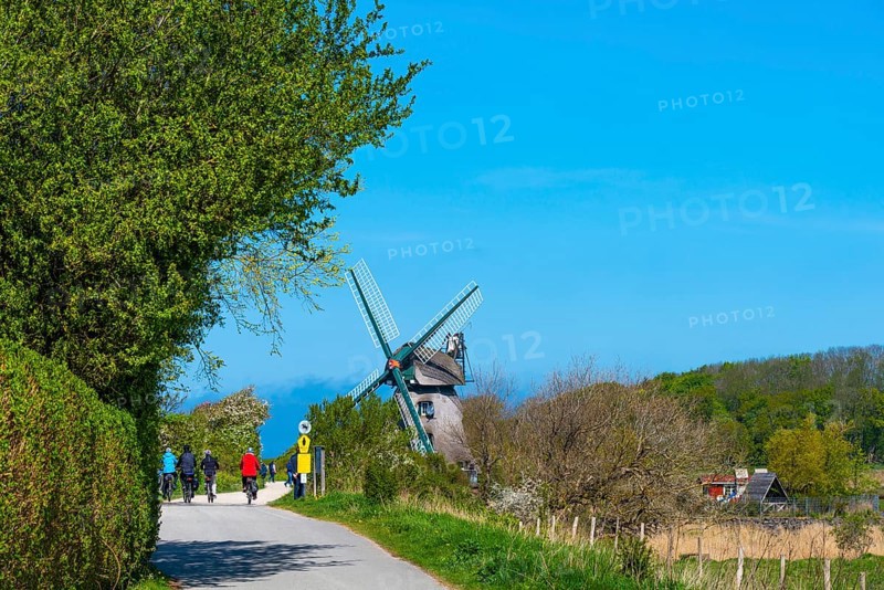 Windmill Charlotte
