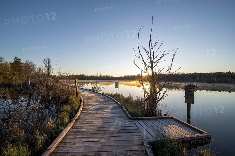 Wooden footbridge in the Schwenninger moss nature reserve