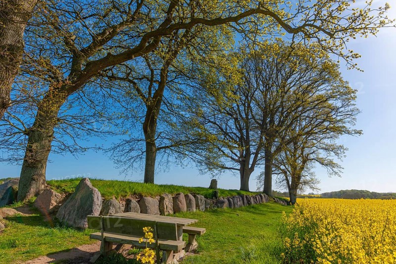 Megalithic grave Karlsminde