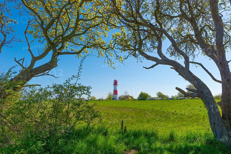 Lighthouse Falshoeft