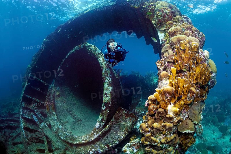 Diver