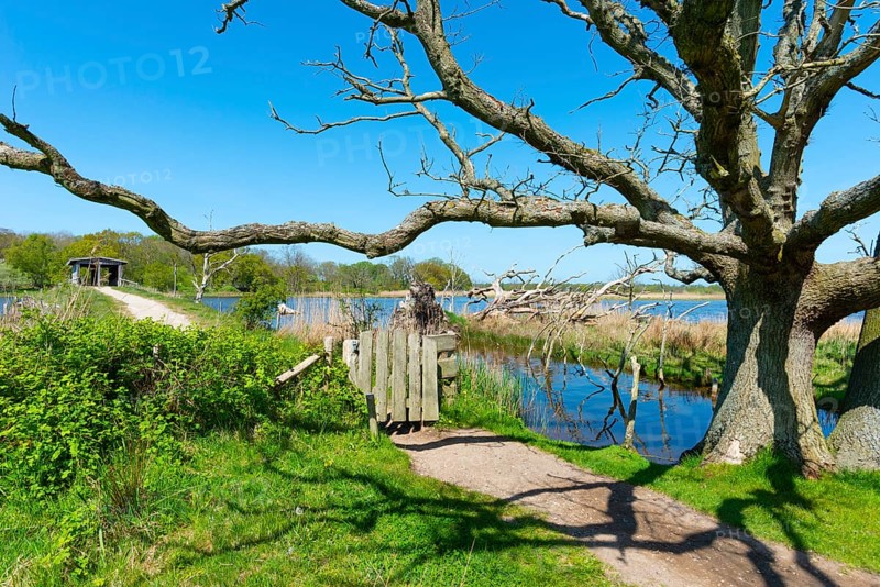 Nature reserve