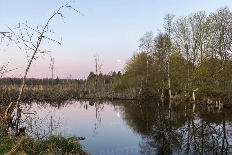View over the Schwenninger moss