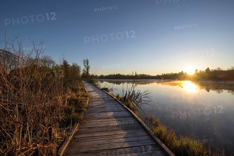 Wooden footbridge in the Schwenninger moss nature reserve