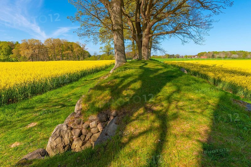 Megalithic grave Karlsminde