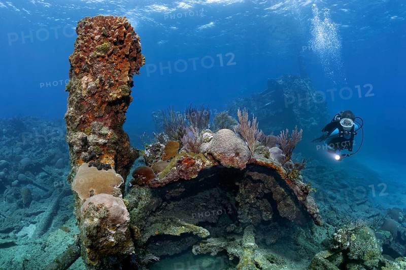 Diver