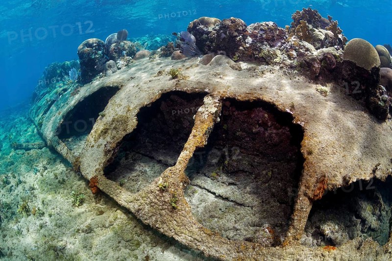 Shipwreck