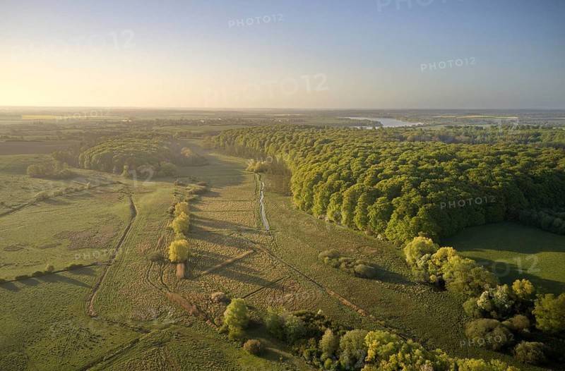 Several nature reserves and a biosphere reserve define the green belt on the state border between Schleswig-Holstein and Mecklenburg-Western Pomerania in the area of Northwest Mecklenburg. Kiekbuschwiesen