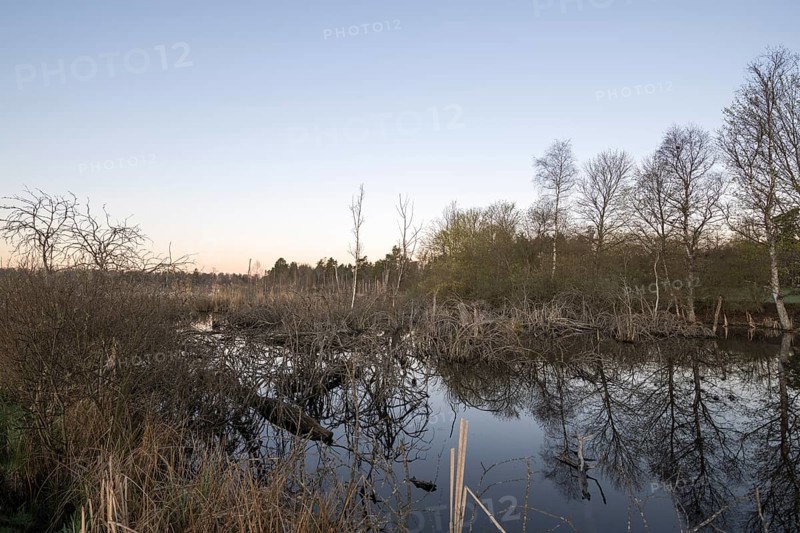 View over the Schwenninger moss
