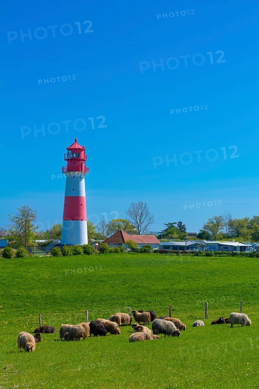 Falshoeft lighthouse