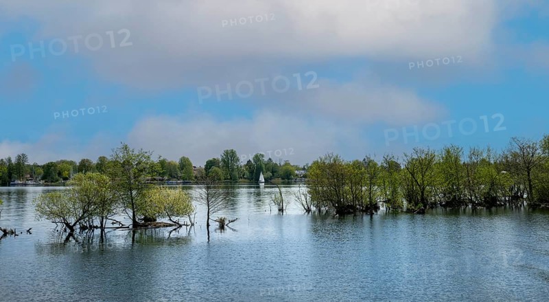 Nature reserve on the Oberhavel near Hennigsdorf