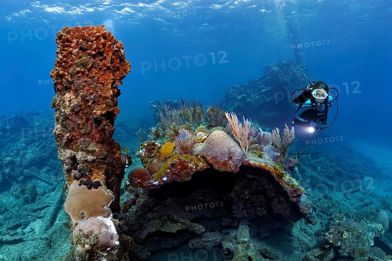 Diver