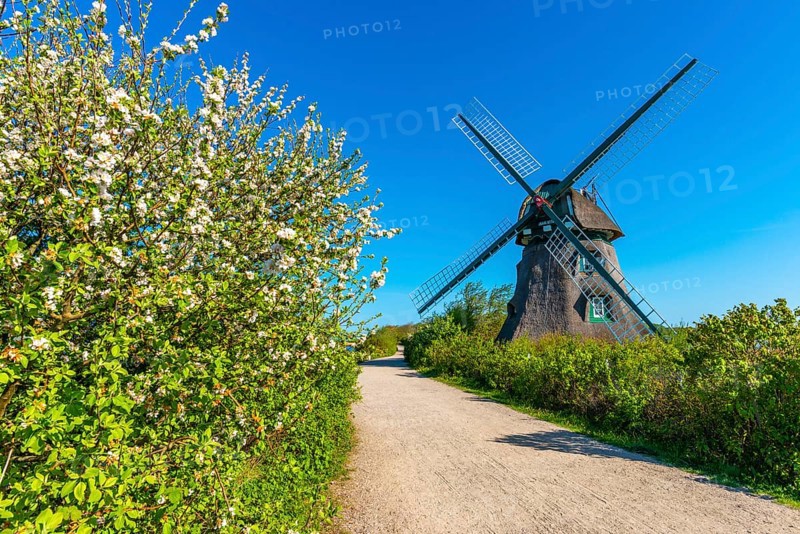 Windmill Charlotte
