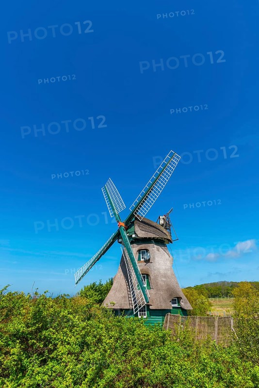 Windmill Charlotte