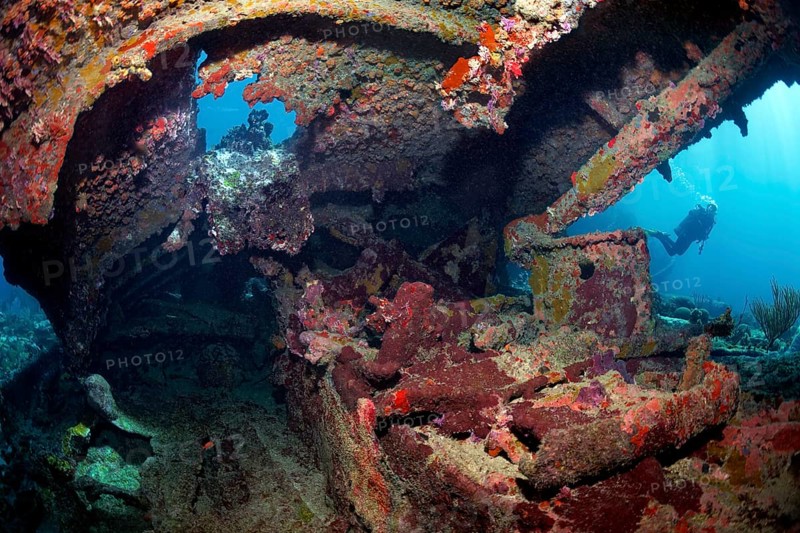 Diver
