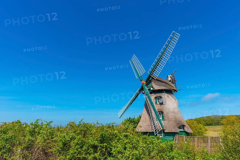 Windmill Charlotte