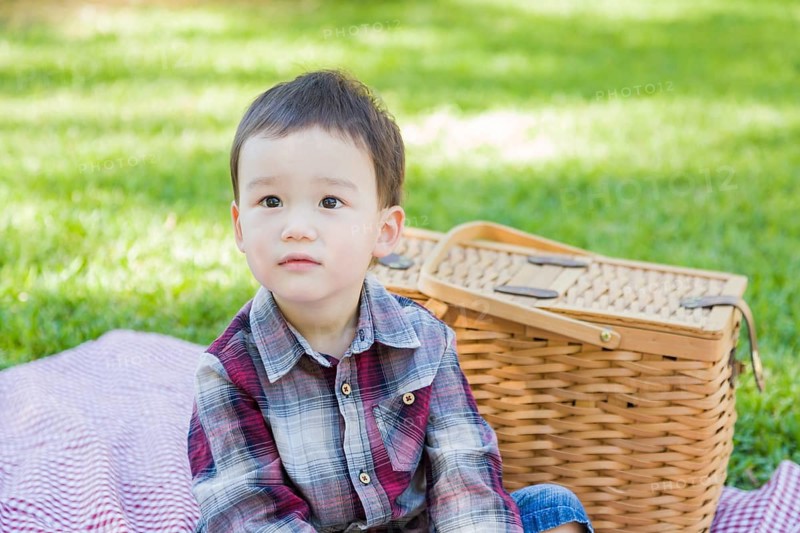 Cute young mixed-race boy sitting in park near picnic basket