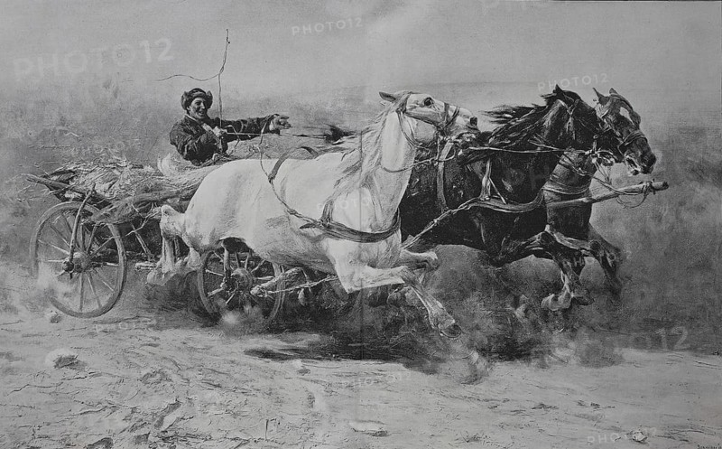 Wild ride with the three-horse carriage