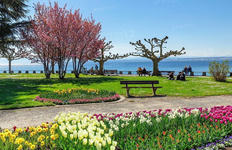 Lakeside park in spring
